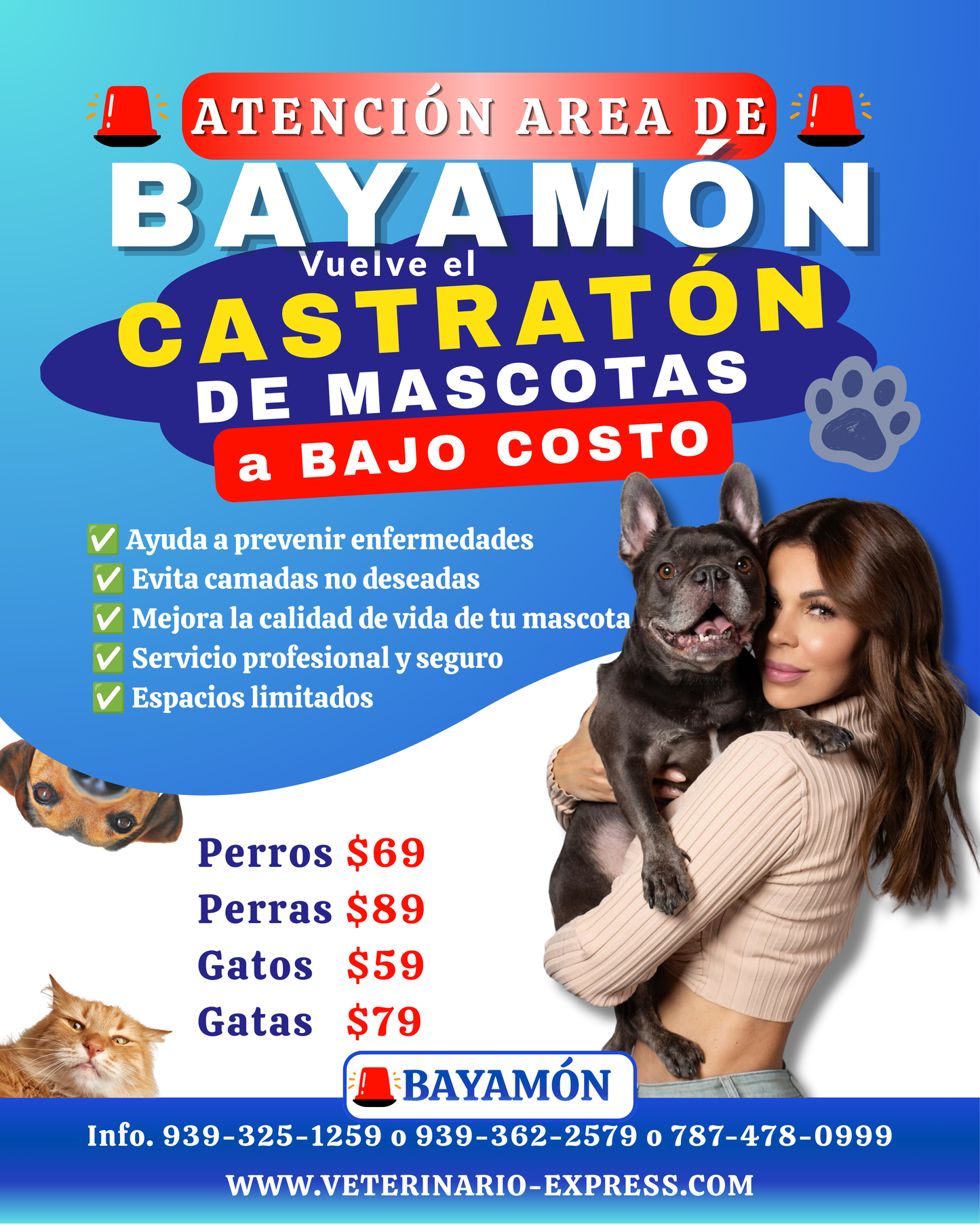 Castratón Bayamon a Bajo Costo