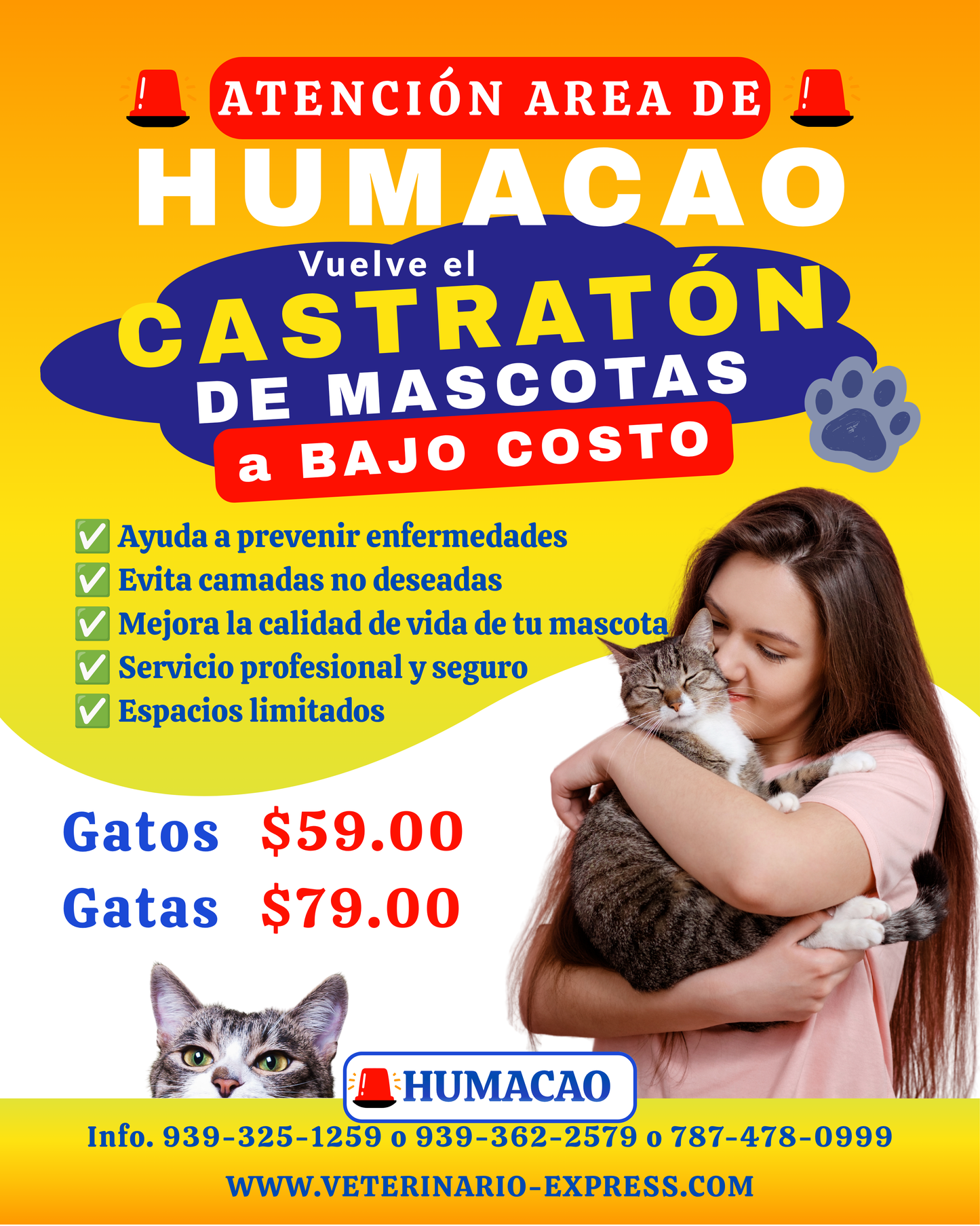 Castratón Trujillo Alto