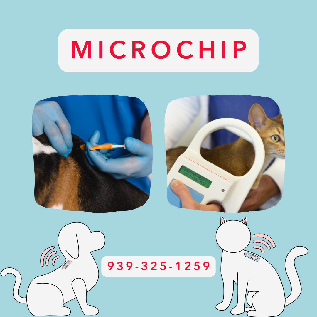 Microchip