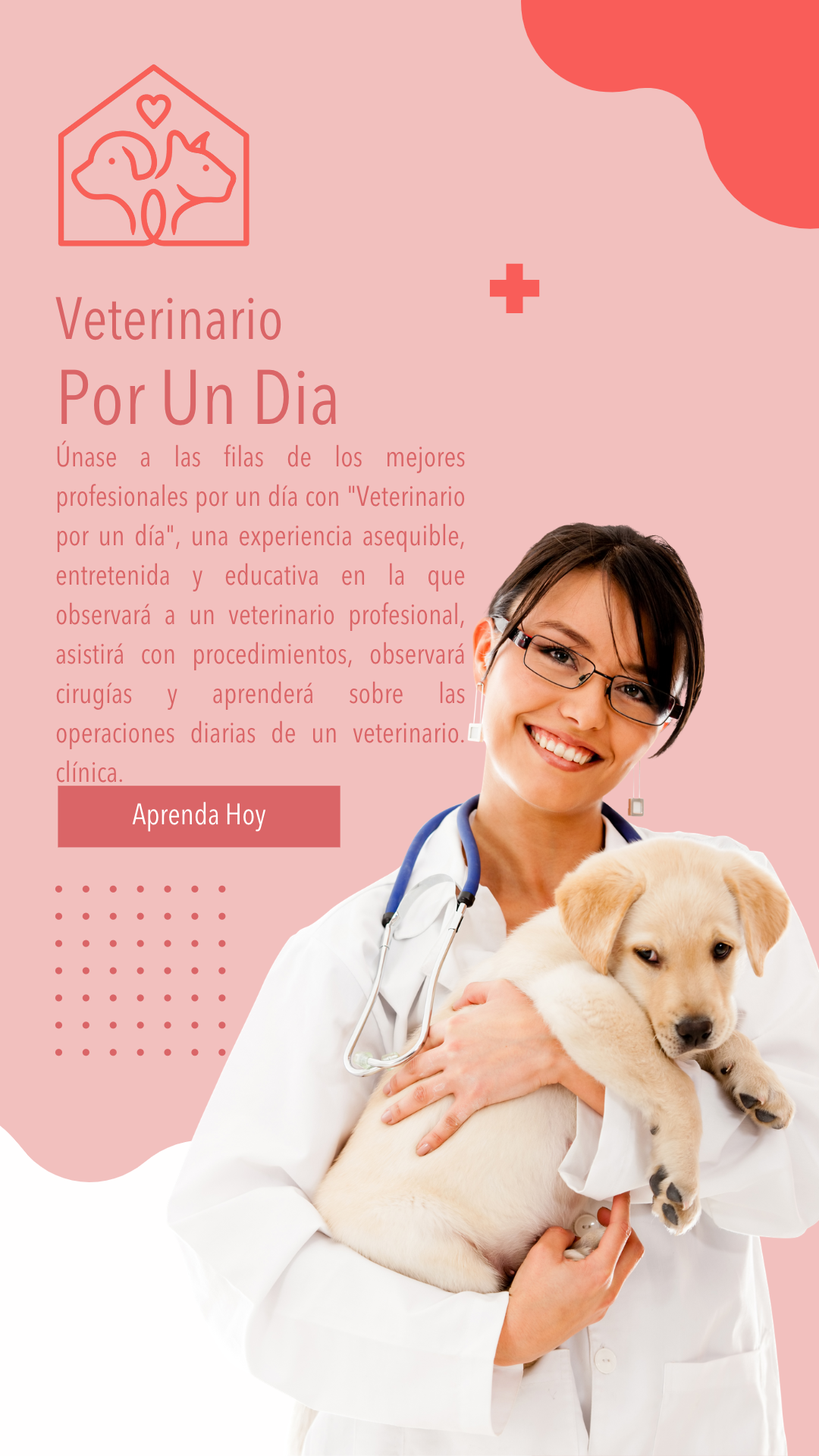 Veterinario Por Un Dia