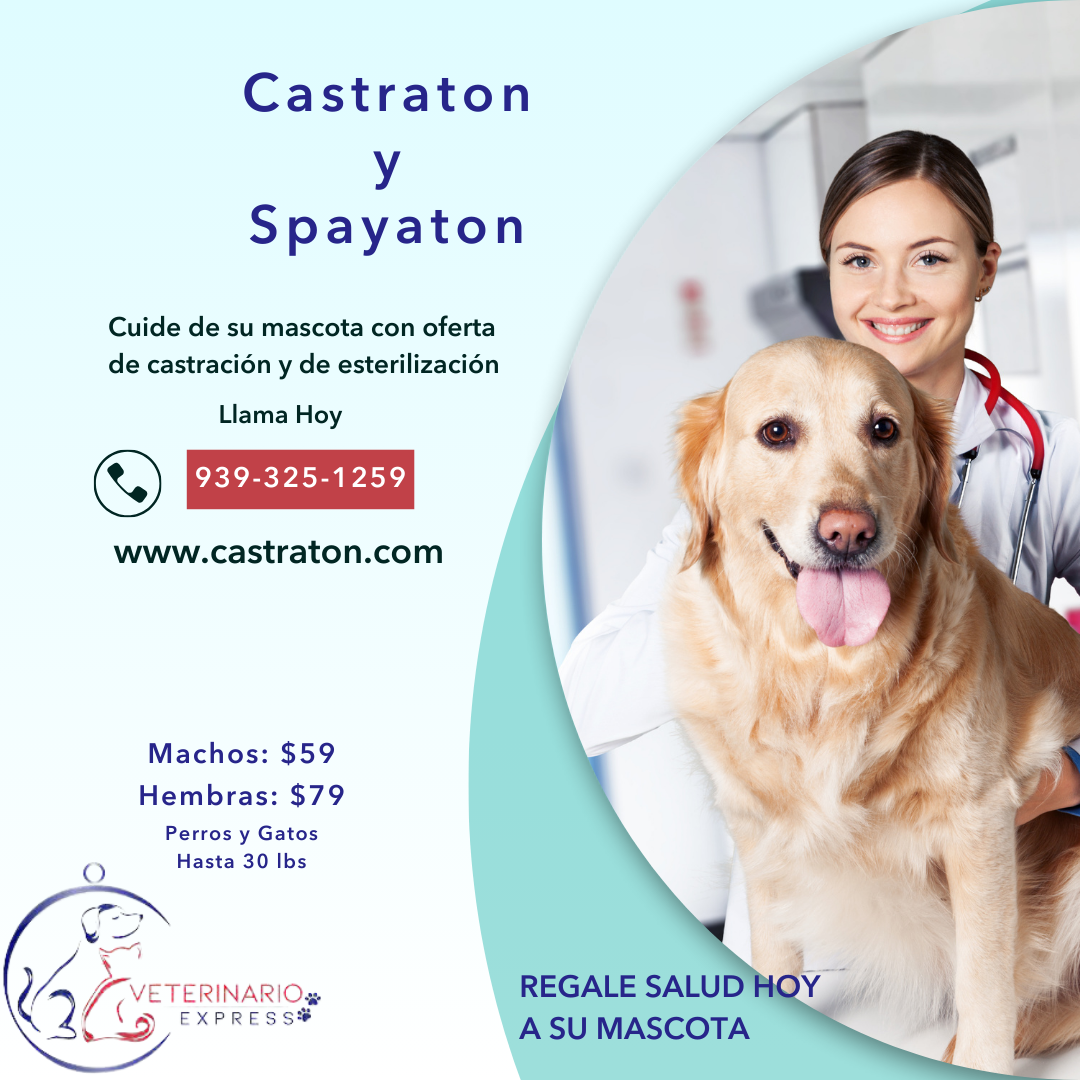 CASTRATON BAJO COSTO CAROLINA