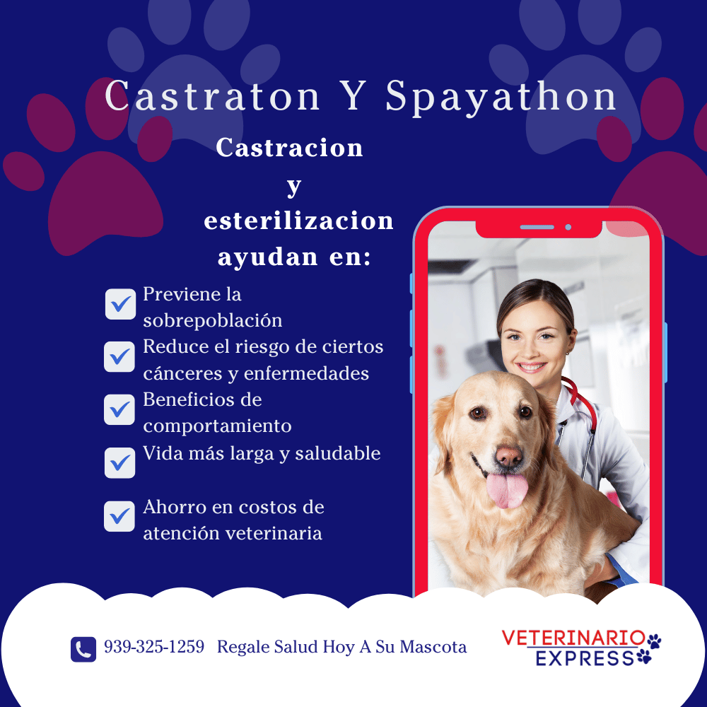 Castratón Trujillo Alto