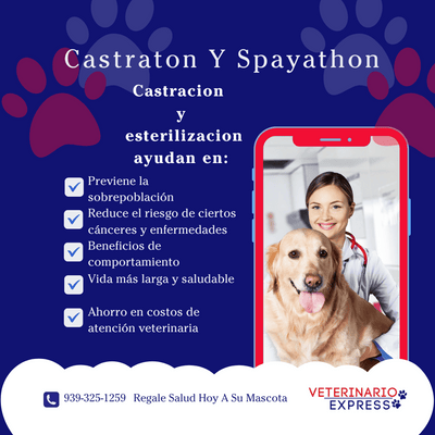 Castratón Trujillo Alto