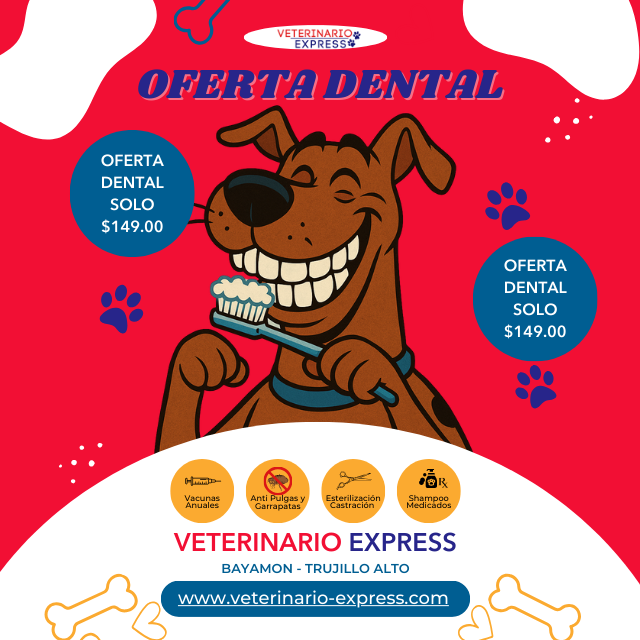 Limpieza Dental Perros Y Gatos Hasta 40lbs