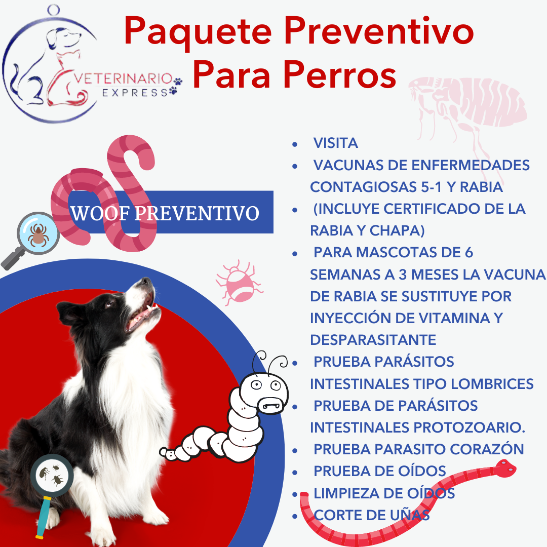 Paquete Preventivo De Perros