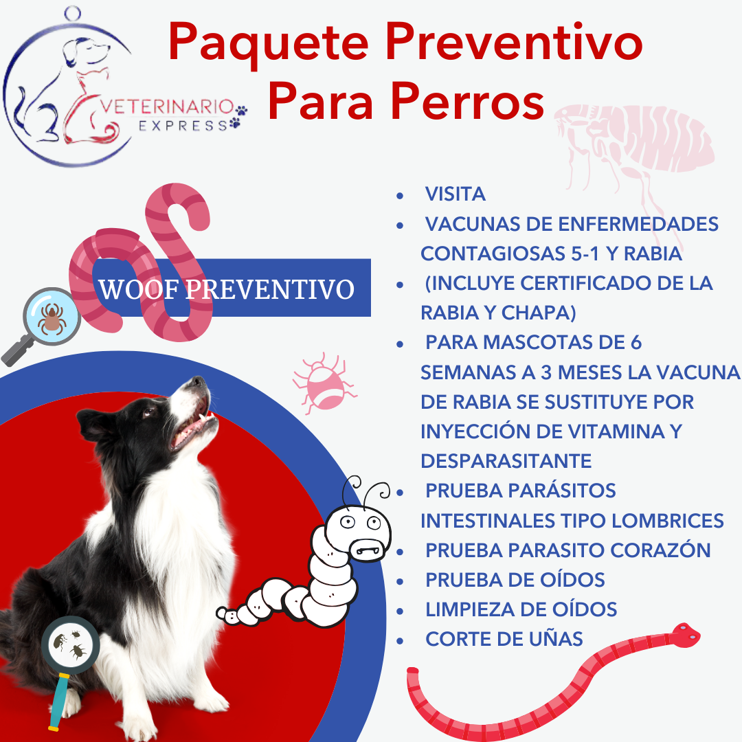 Paquete Preventivo De Perros