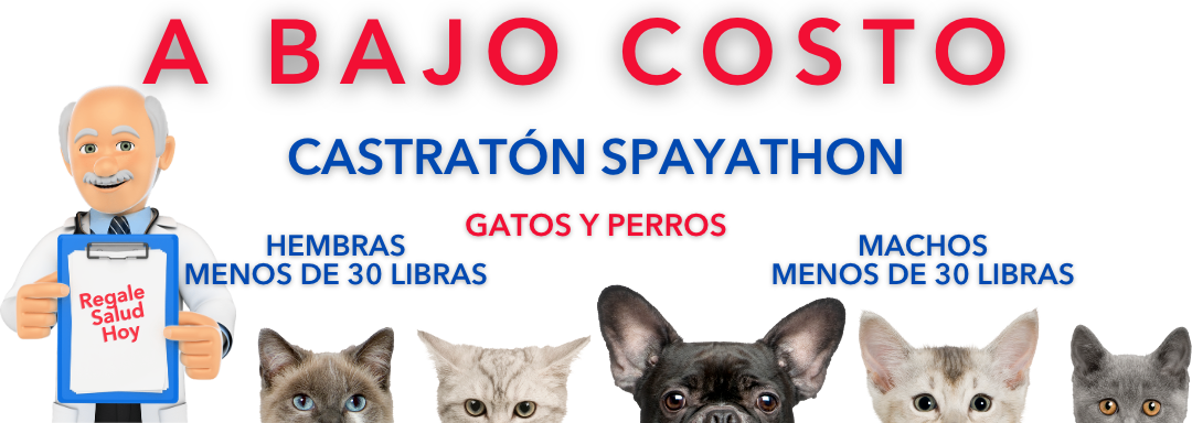 Castraton Esterilización A Bajo Costo Bayamón