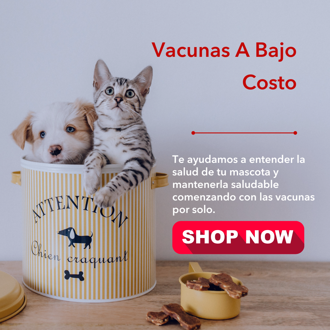 Vacunas A Bajo Costo Trujillo Alto