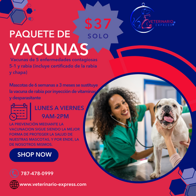 Vacuna Tu Perro Hoy