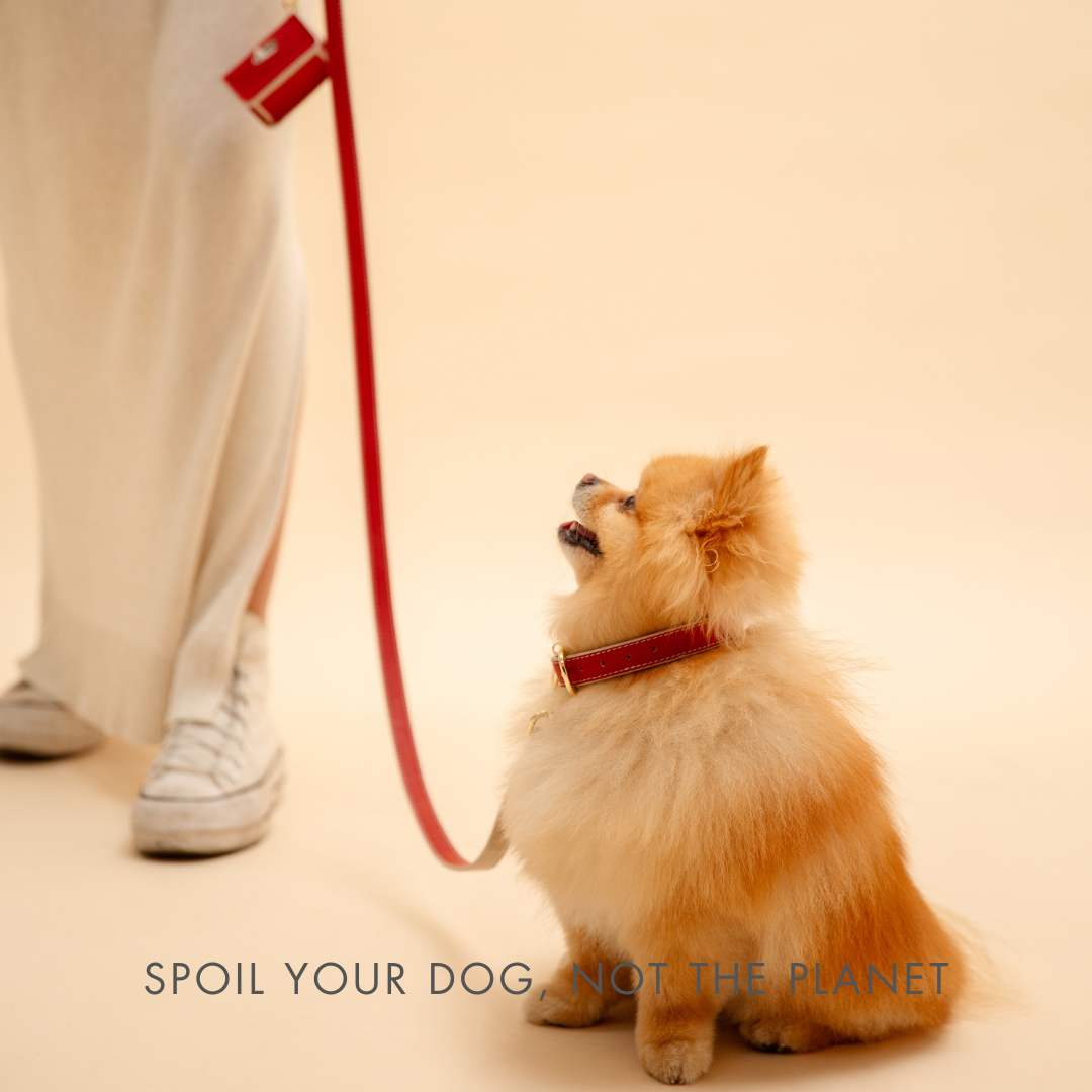 Correa  – Cuero Vegano – Copenhagen