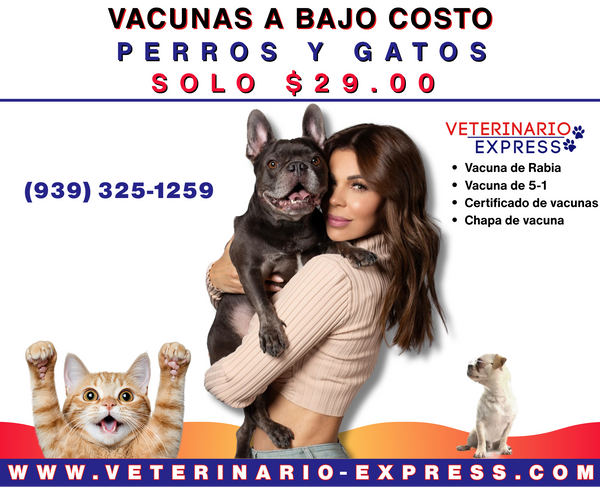 Trujillo Alto Vacunas Sabado/Domingo