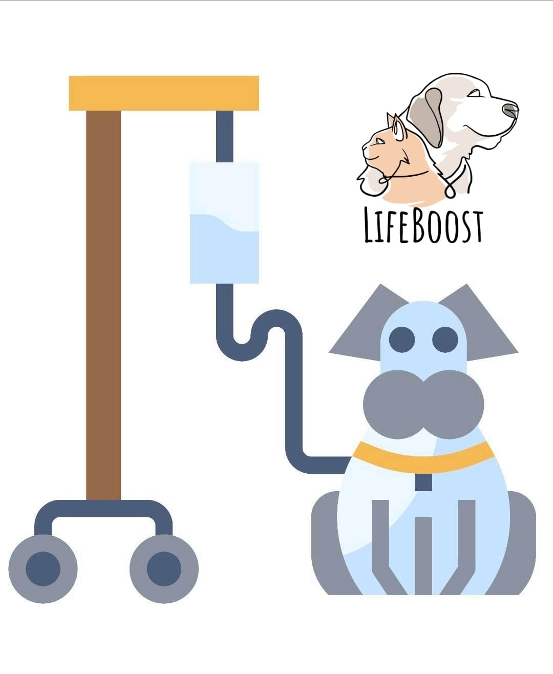 LifeBoost Guaynabo Solamente