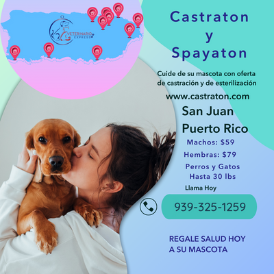 Castraton Esterilización A Bajo Costo Centro Medico San Juan