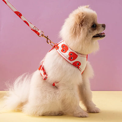 Happy Heart Harness & Leash Set for Dog or Cat
