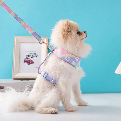 Chewy Vuiton Multi Colored Harness and Leash Set Lilac