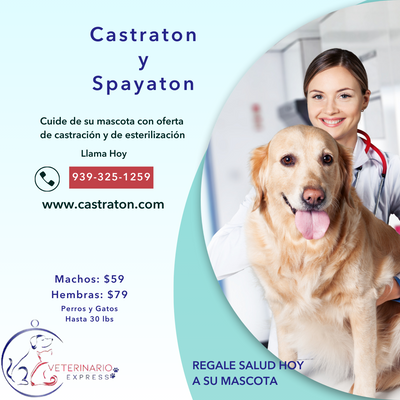 CASTRATON BAJO COSTO CAROLINA