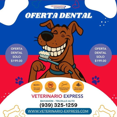 Limpieza Dental Perros Y Gatos Hasta 40lbs