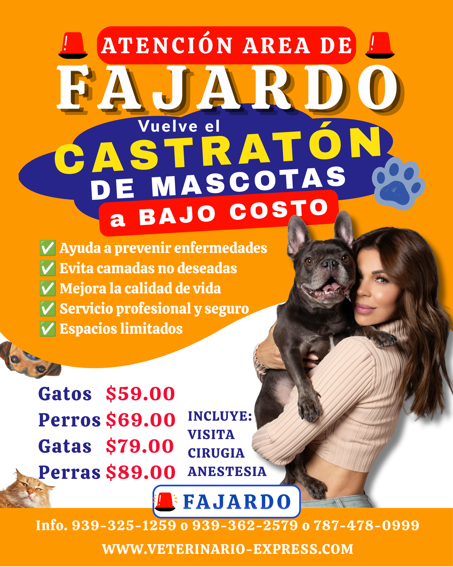 Castratón Trujillo Alto 