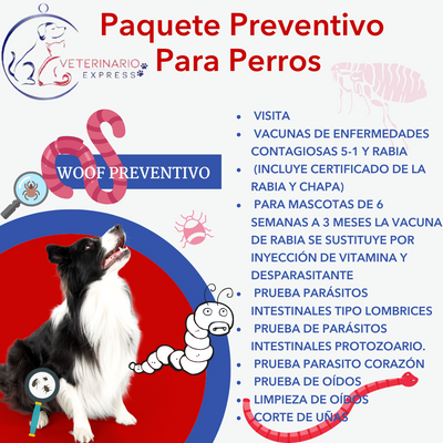 Paquete Preventivo De Perros