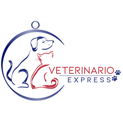 Veterinario-Express 