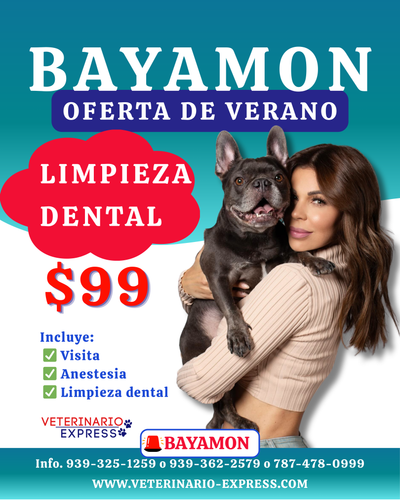 Limpieza Dental Perros Y Gatos Hasta 40lbs