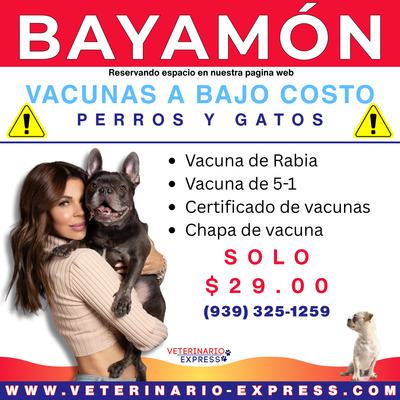 PAQUETE DE VACUNAS $29.00 EN BAYAMON