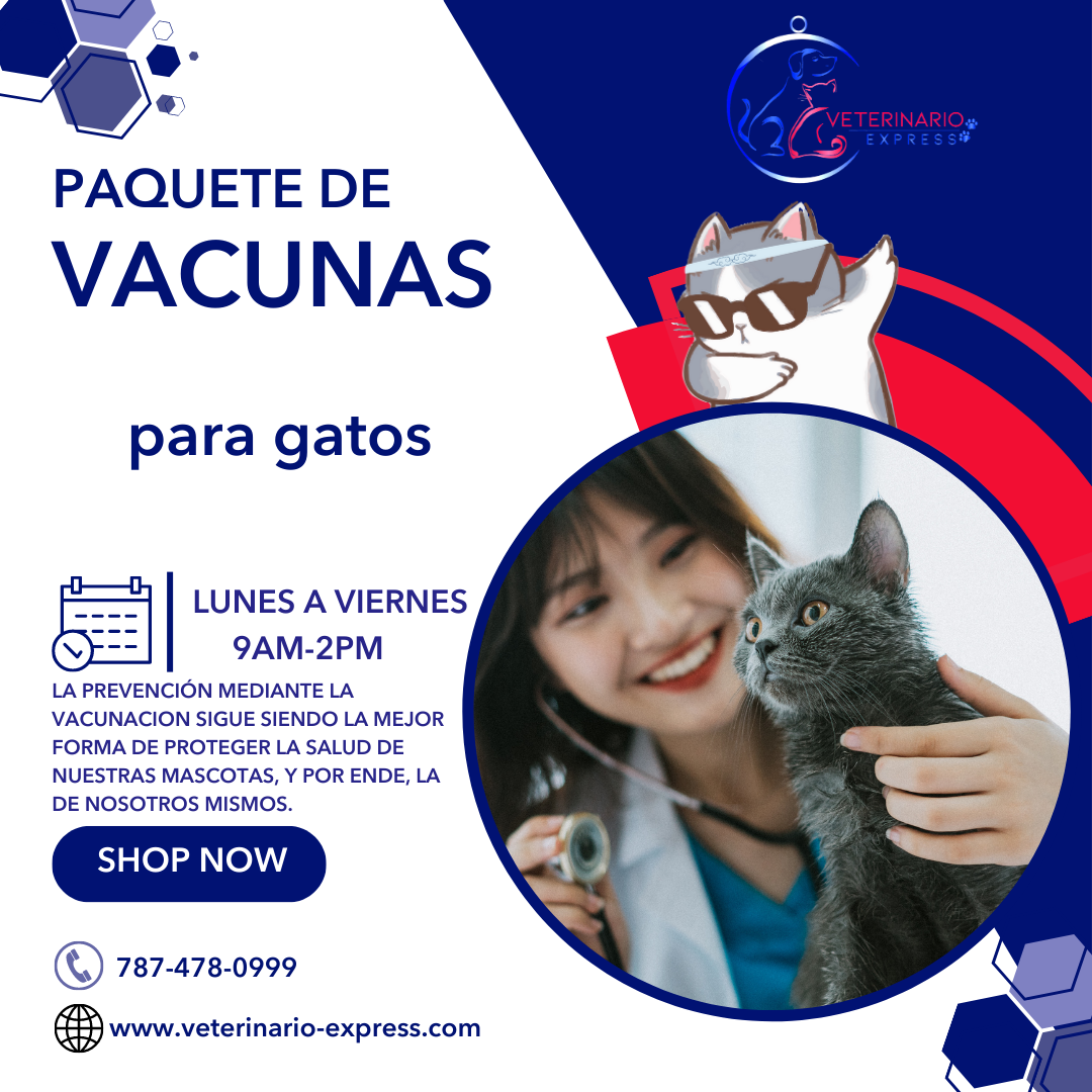 PAQUETE DE VACUNAS PARA GATOS 