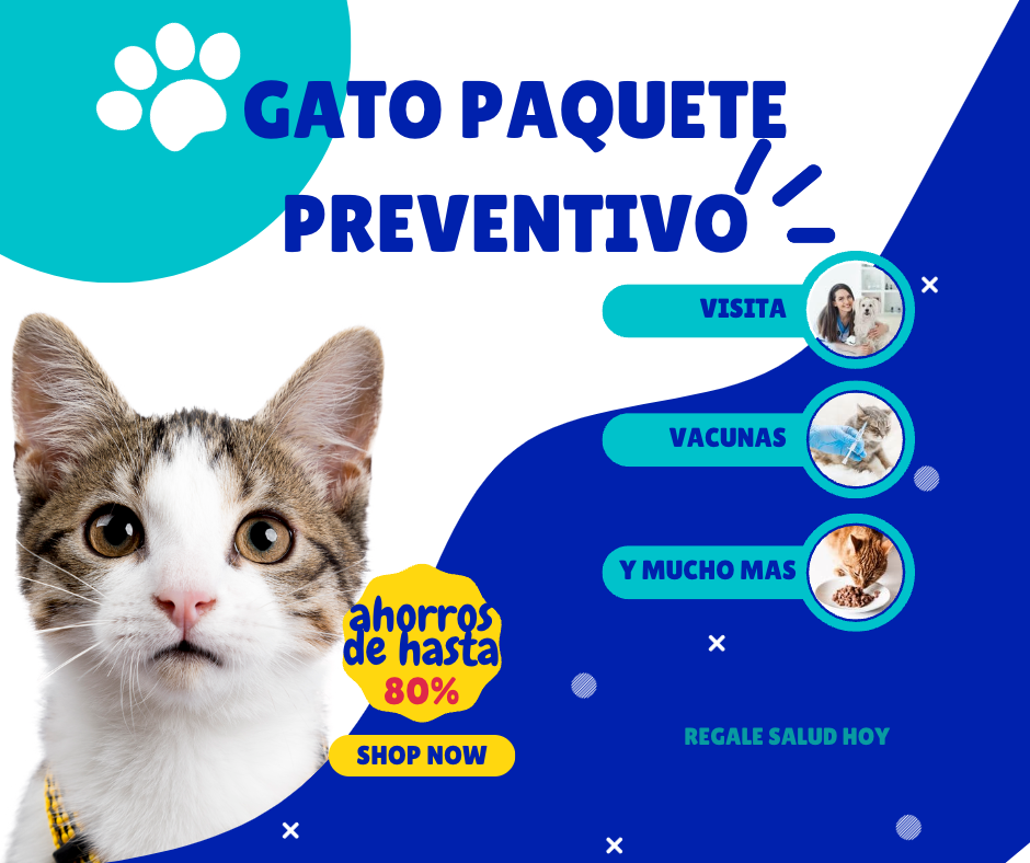 Gato Paquete Preventivo